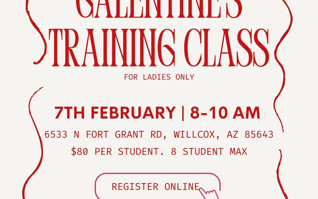 Galentine’s Training Class (For Ladies Only)