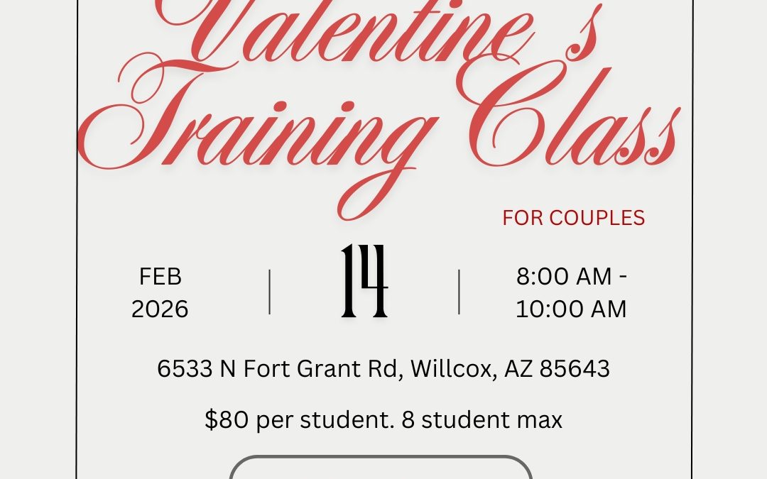 Valentine’s Training Class (For Couples)